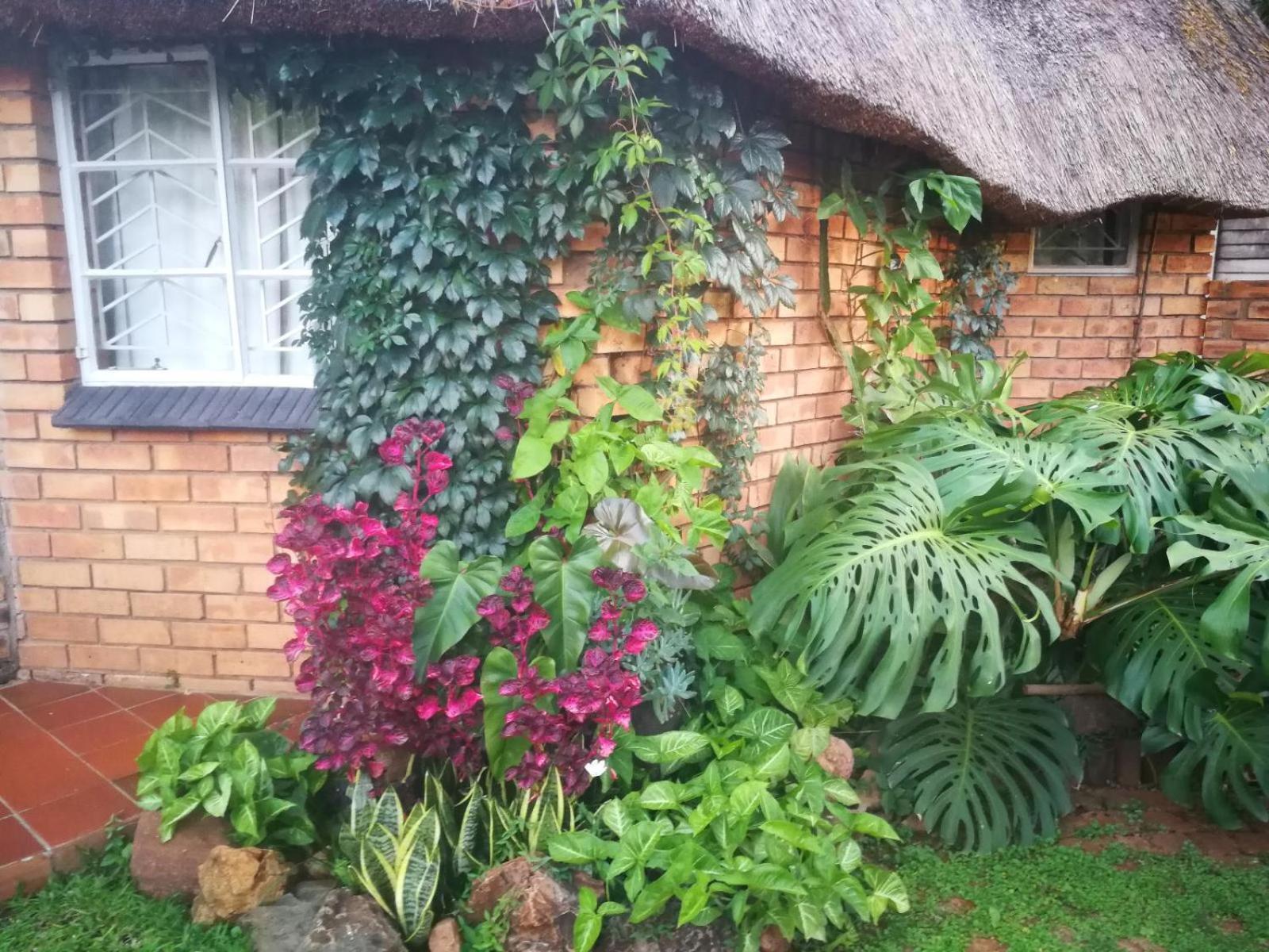 Tree Aloe Guest House Mokopane Quarto foto