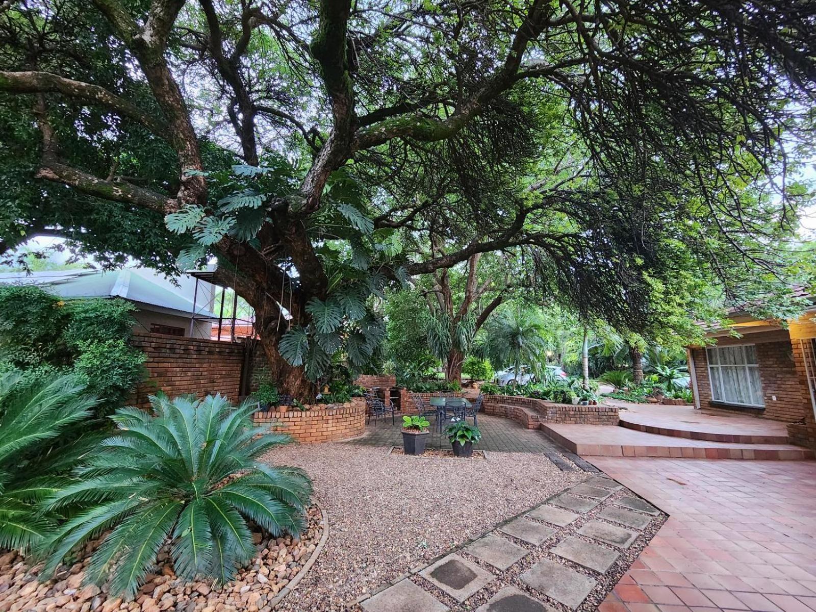 Tree Aloe Guest House Mokopane Exterior foto