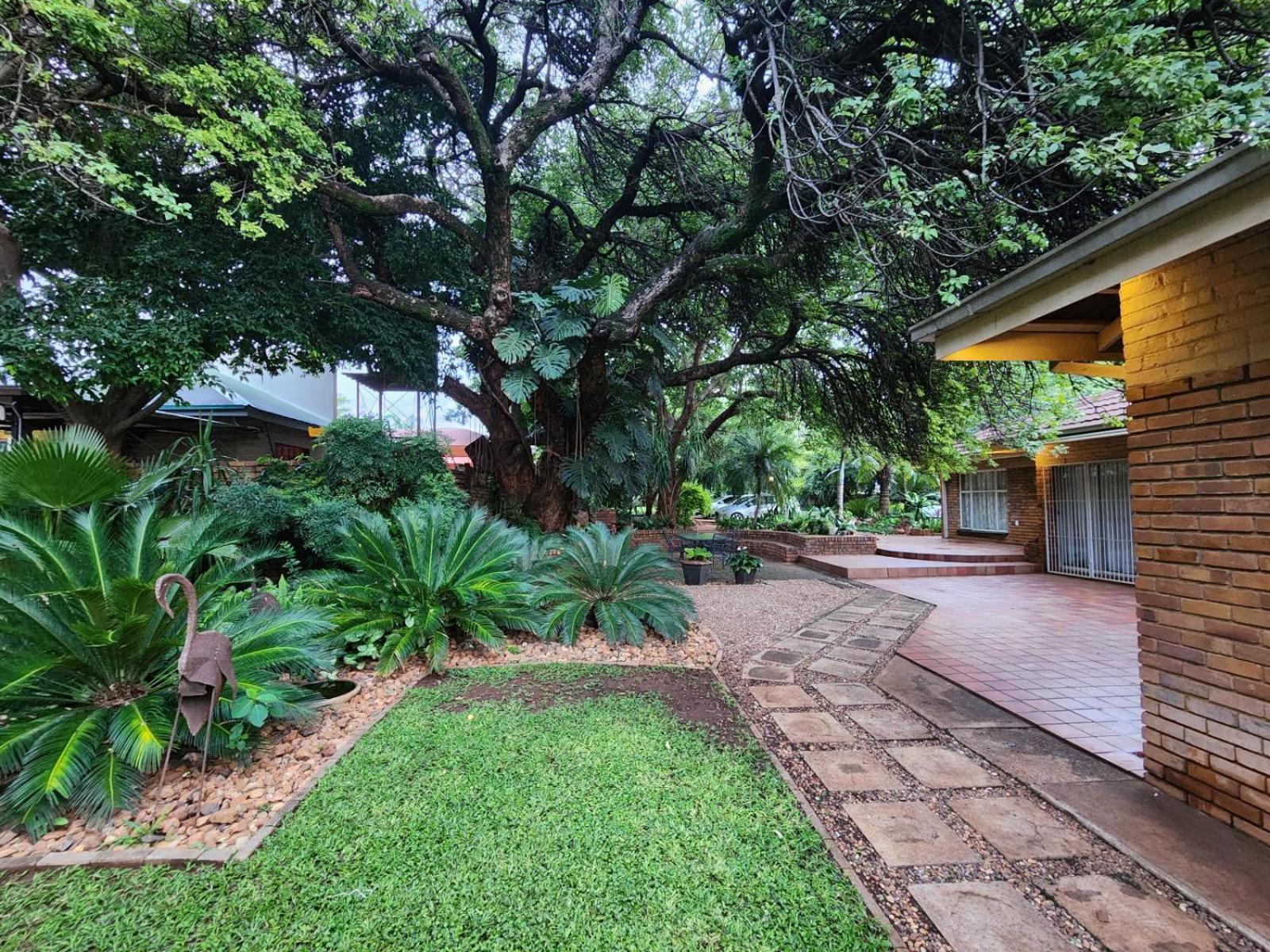 Tree Aloe Guest House Mokopane Exterior foto